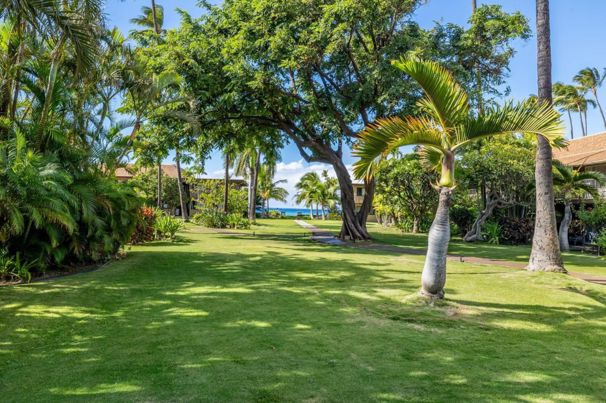 Aloha! 10 Steps to Ocean. Breathtaking Ocean Front - Image 28