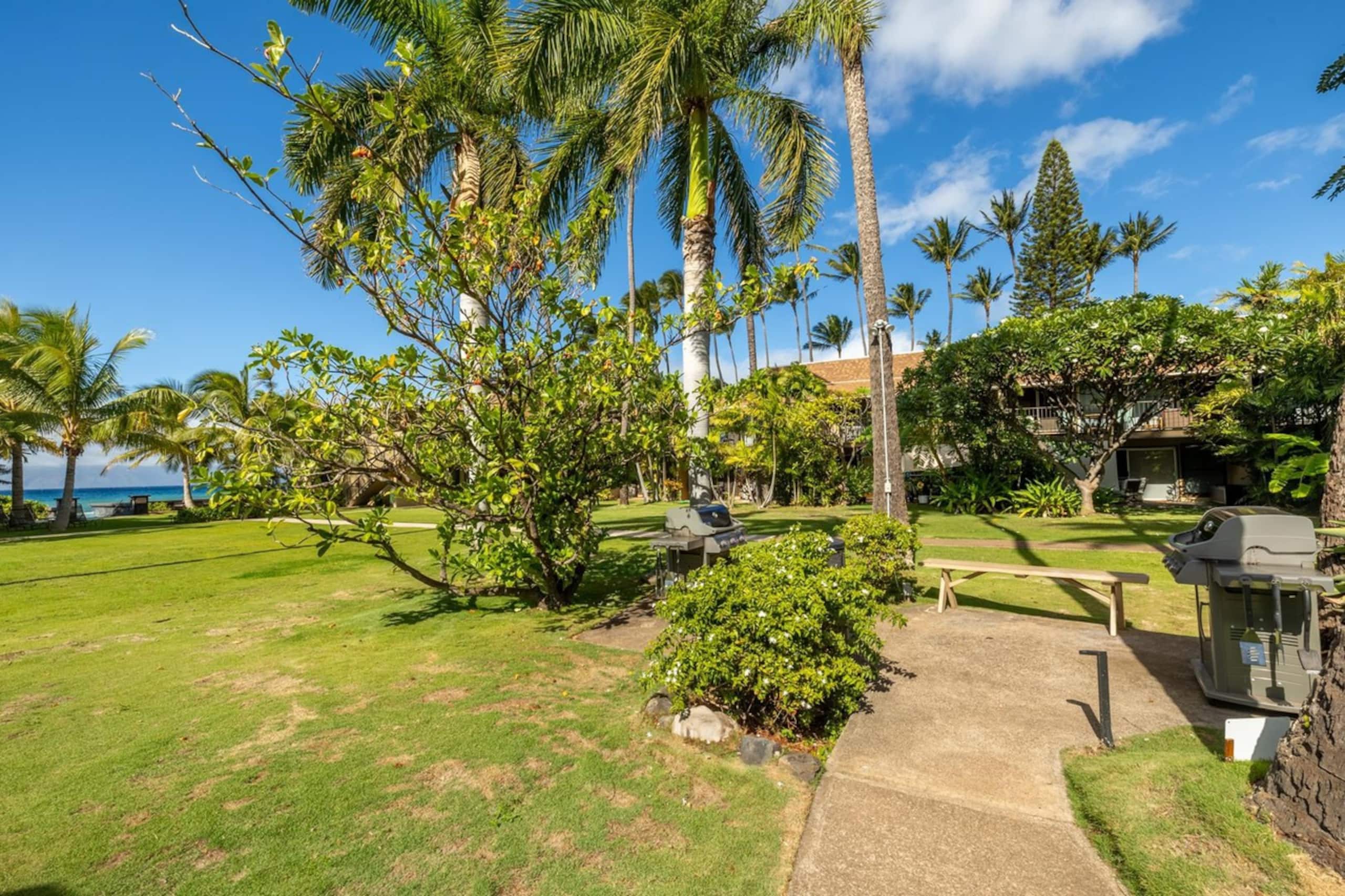 Aloha! 10 Steps to Ocean. Breathtaking Ocean Front - Image 30