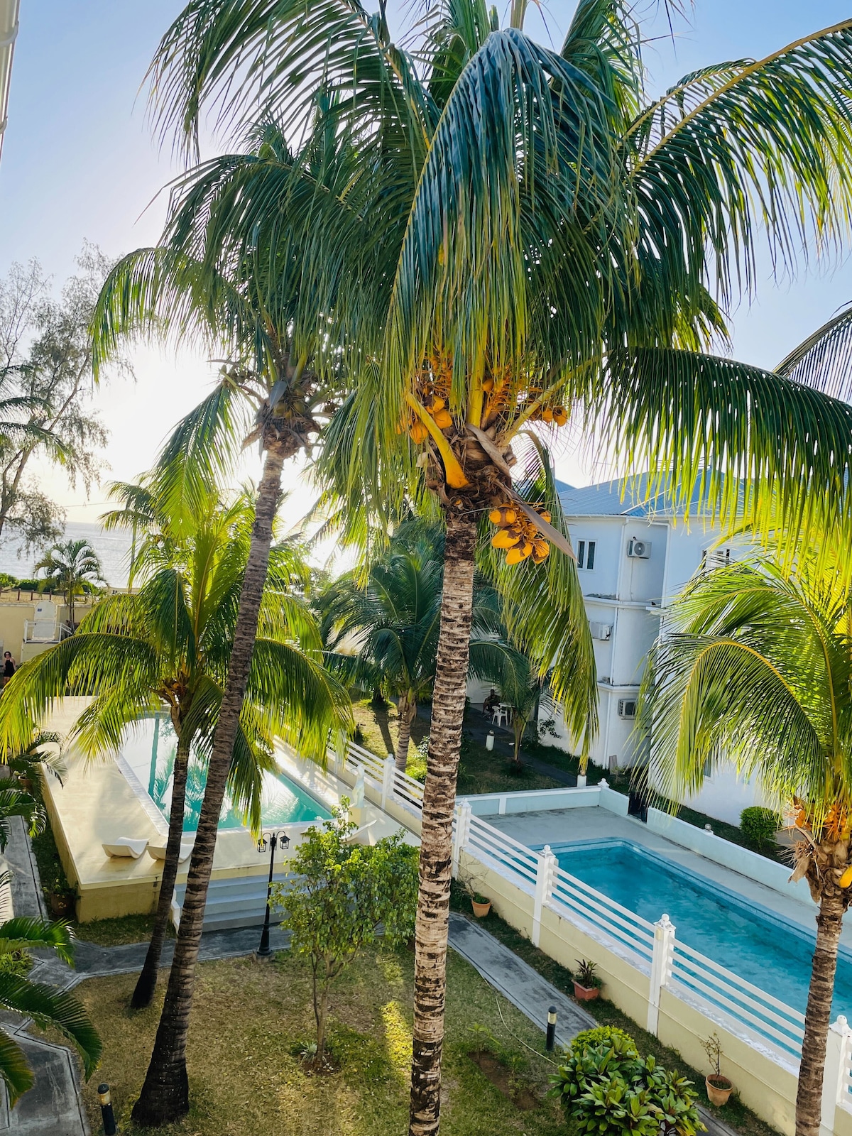 Tall palm trees are visible in the foreground, their leaves gently swaying in the breeze. In the background, a sparkling swimming pool and a serene garden area are seen, with sunlight filtering through the palm fronds, creating a peaceful outdoor retreat.