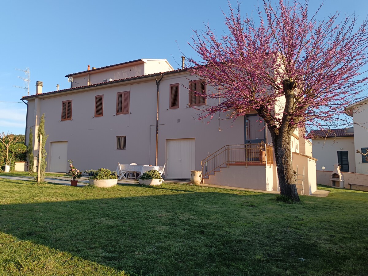 The building features a light-colored exterior with multiple windows and doors. A flowering tree adds a touch of color to the spacious green yard. Outdoor seating is available, complemented by planted flowers and landscaped areas, creating a serene environment.