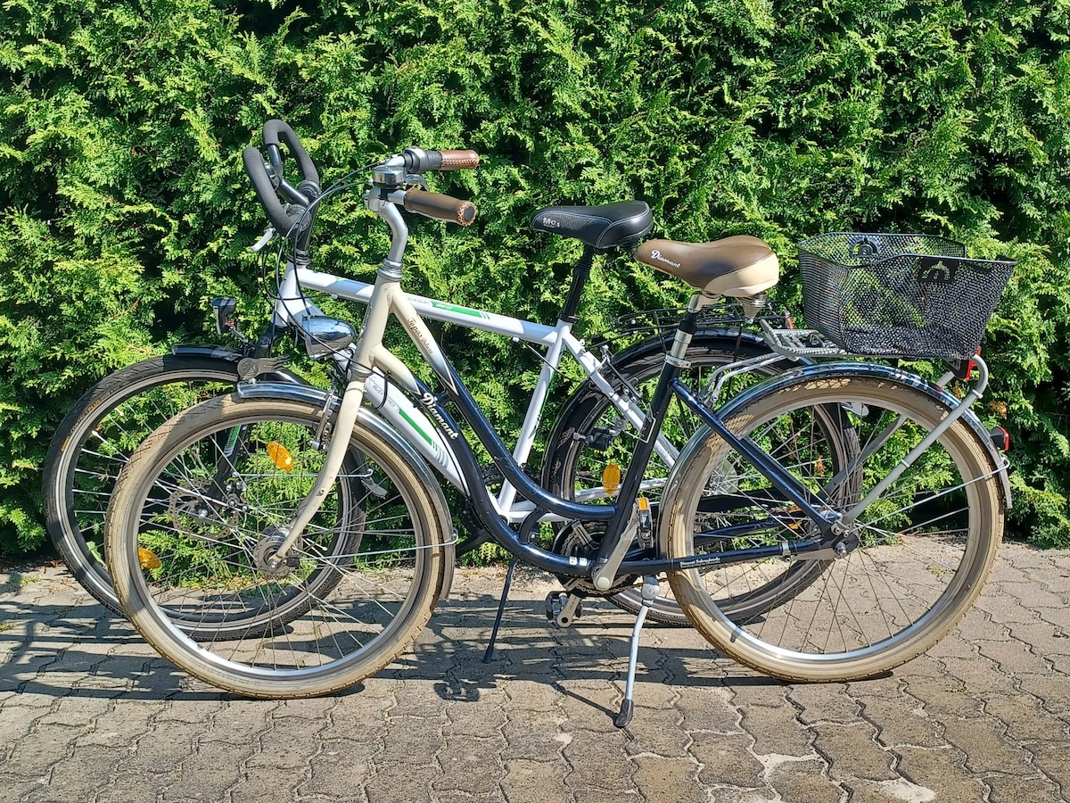 Two bicycles are positioned side by side on a paved surface, surrounded by dense greenery. One bicycle features a sleek design with a light frame and handlebars equipped with grips. The other has a classic style with a basket attached to the front and a comfortable saddle.