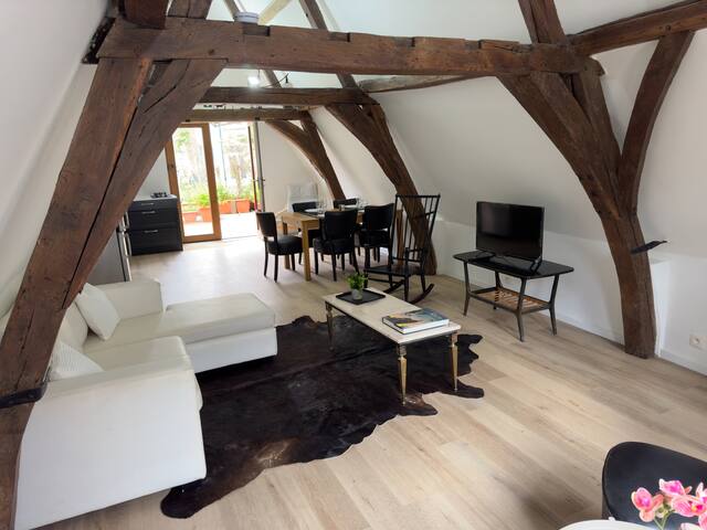 Loft big terrace Meir center gallery image 4