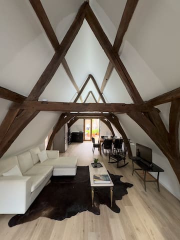 Loft big terrace Meir center