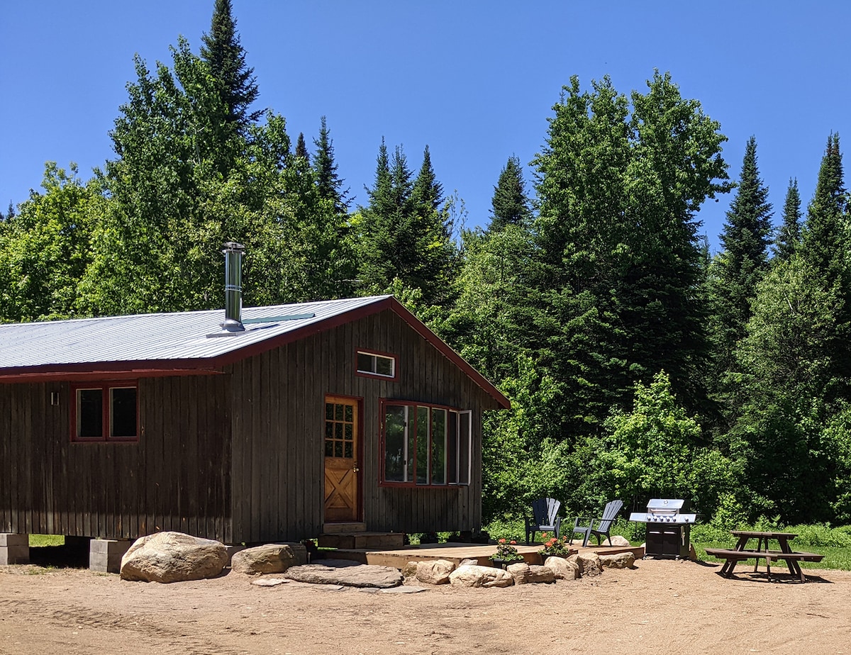 The cabin is set in a natural clearing, surrounded by tall trees. A front deck is visible, along with a barbecue grill, picnic table, and seating area. The structure features large windows and a welcoming entrance, providing a rustic yet comfortable outdoor space.
