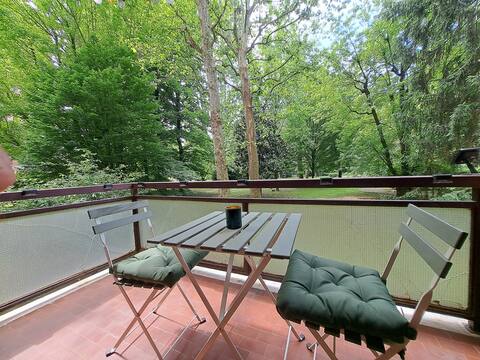 The Balcony in the Park