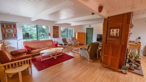 Top Airbnb: Spacious Home with Patio, Yard, Home Gym in Mountain View