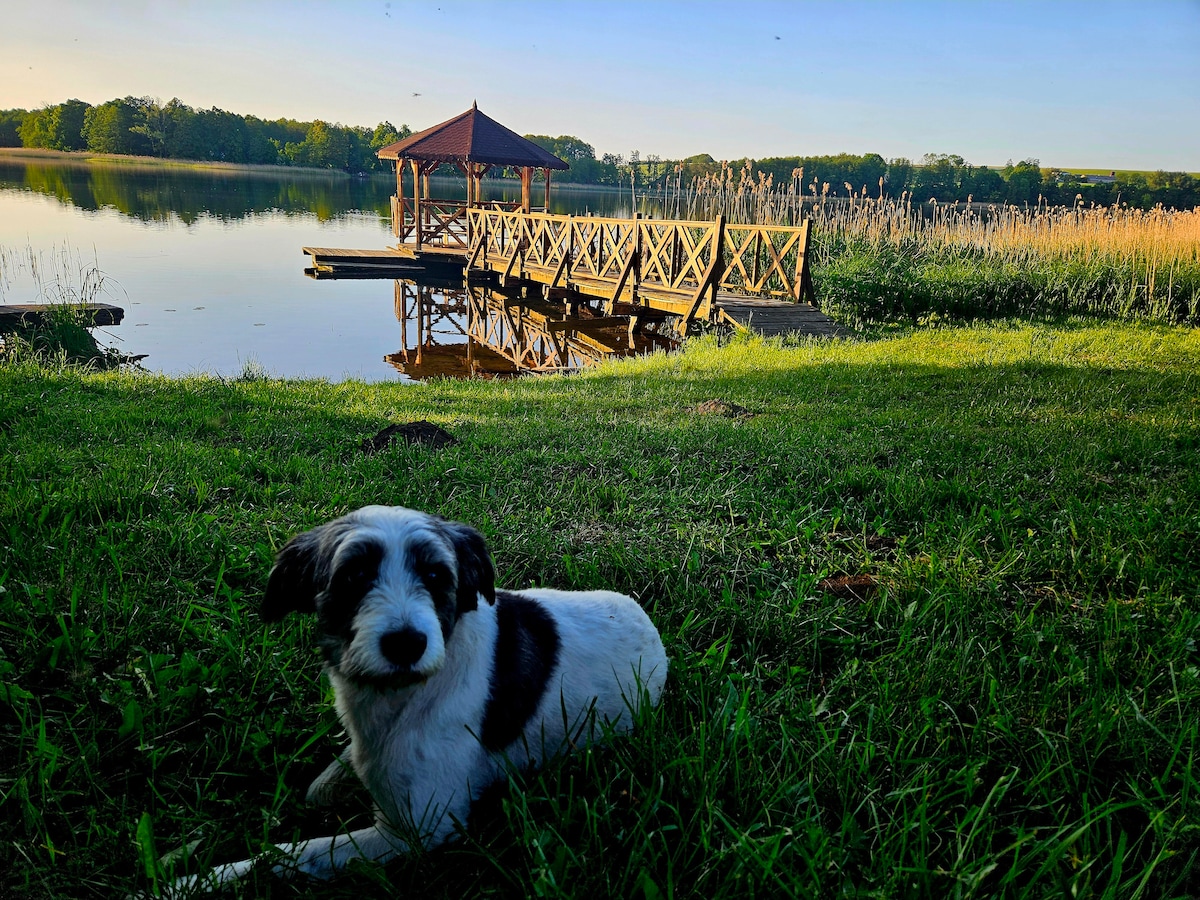 A calm lakeside scene is depicted, featuring a wooden dock leading to a gazebo on the water. Lush greenery surrounds the area, and a dog rests on the grass, offering a sense of tranquility in nature.