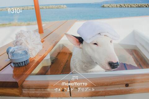 [Sado/One Entire Building] More motto You can stay with your dog: Sagasama Dog Resort