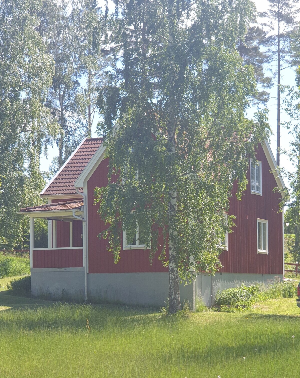 A red two-story house, surrounded by lush green grass, stands under the shade of several tall trees. Large windows allow natural light to enter, and a porch is visible on the front side, providing an inviting entrance.