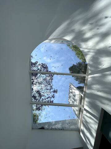 Cielo pintado de AZUL gallery image 4