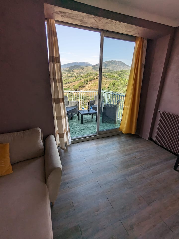 T2 Vue Mer  à 15 Min De Collioure - Banyuls-sur-Mer