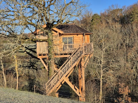 Nests in Périgord Noir