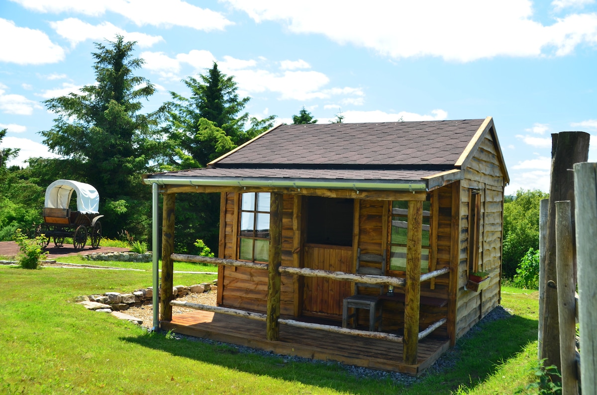 A wooden cabin is featured, showcasing a porch with a few steps and a rustic wooden bench. The structure is surrounded by greenery, including trees and shrubs. A covered wagon is visible in the background, set against a clear blue sky.