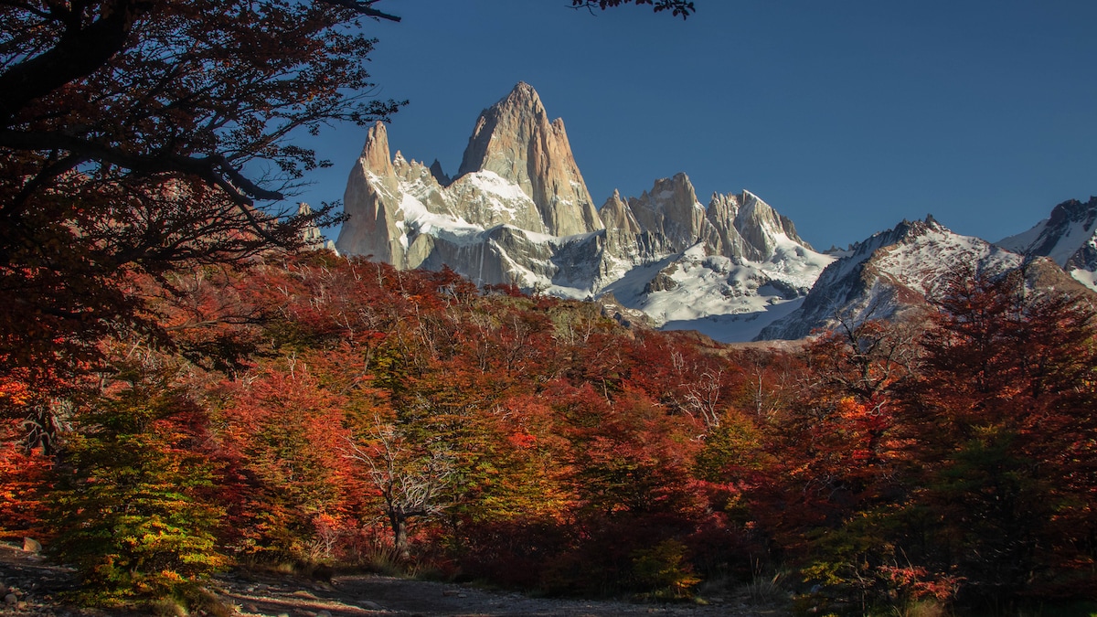 A majestic mountain is prominently featured in the background, surrounded by snow-capped peaks. The foreground showcases a vibrant landscape of trees with red and orange foliage, indicating the beauty of autumn in the area.