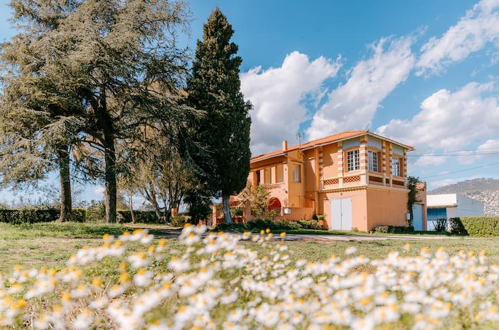Villa Au Milieu Des Vignes - Le Lavandou