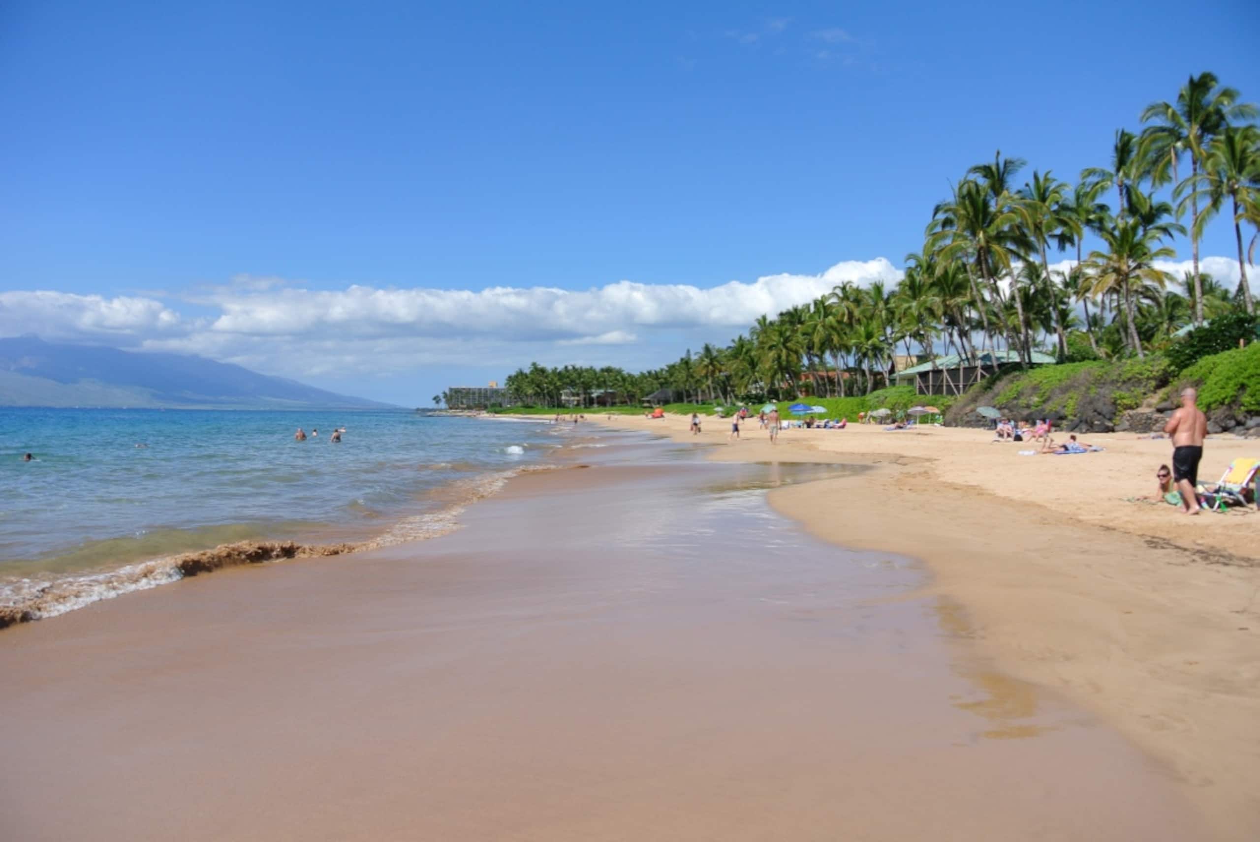 Full Ocean View Wailea Ekahi - Image 29