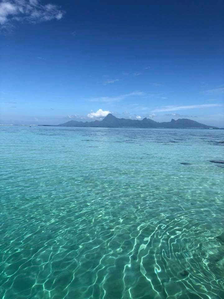 A tranquil view of clear turquoise waters extends toward distant mountains on the island of Moorea, under a bright blue sky with a few scattered clouds. The gentle ripples on the water surface create a serene atmosphere.