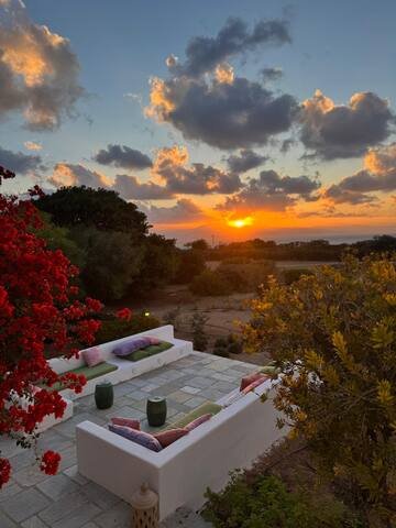 Mysterni gallery image 2