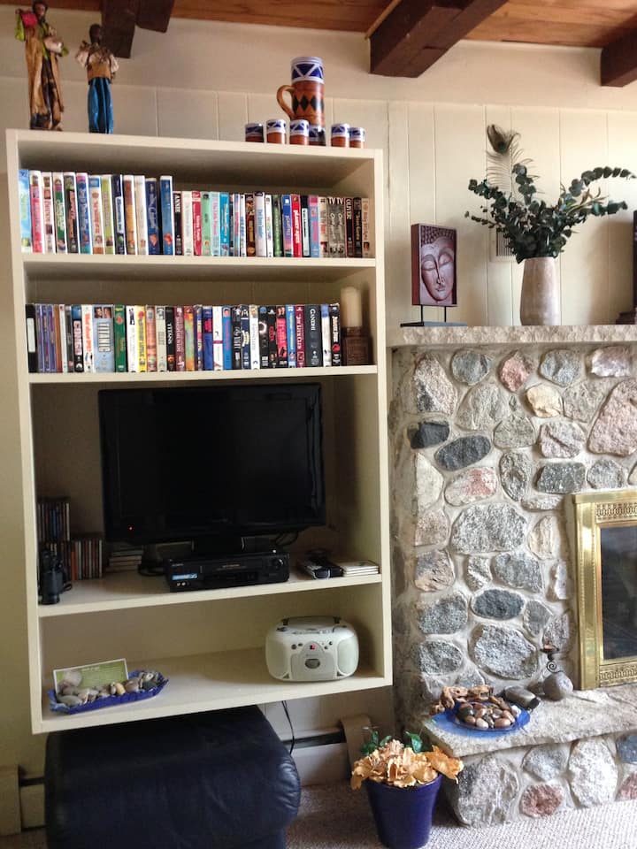 Biblioteca de una variedad de cintas VHS. Estantería en la sala con libros para adultos, adolescentes y niños. 