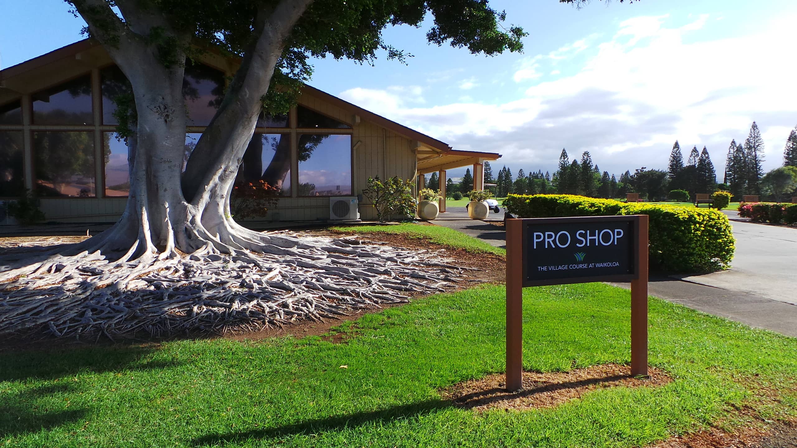 Luxury Ocean View Oasis with Golf & Tennis Access - Photo 43