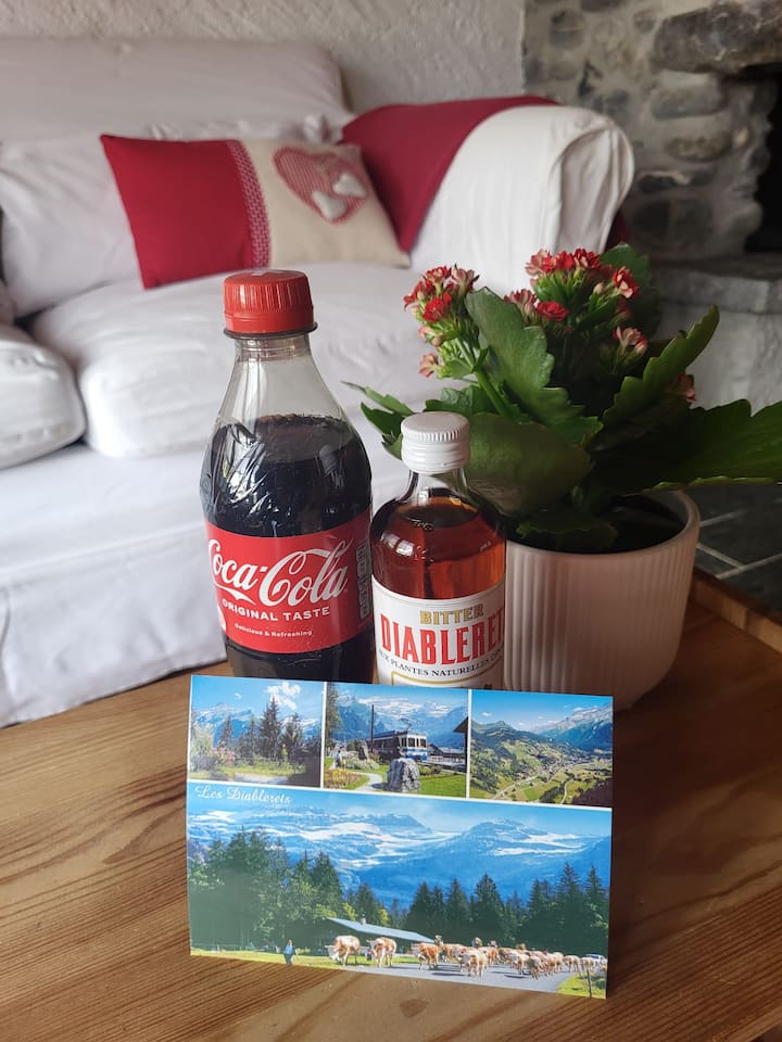 Appartement Dans Un Chalet De Montagne. - Les Diablerets