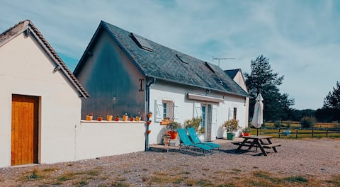 Air-conditioned house, 6 people, near Beauval Zoo, castles