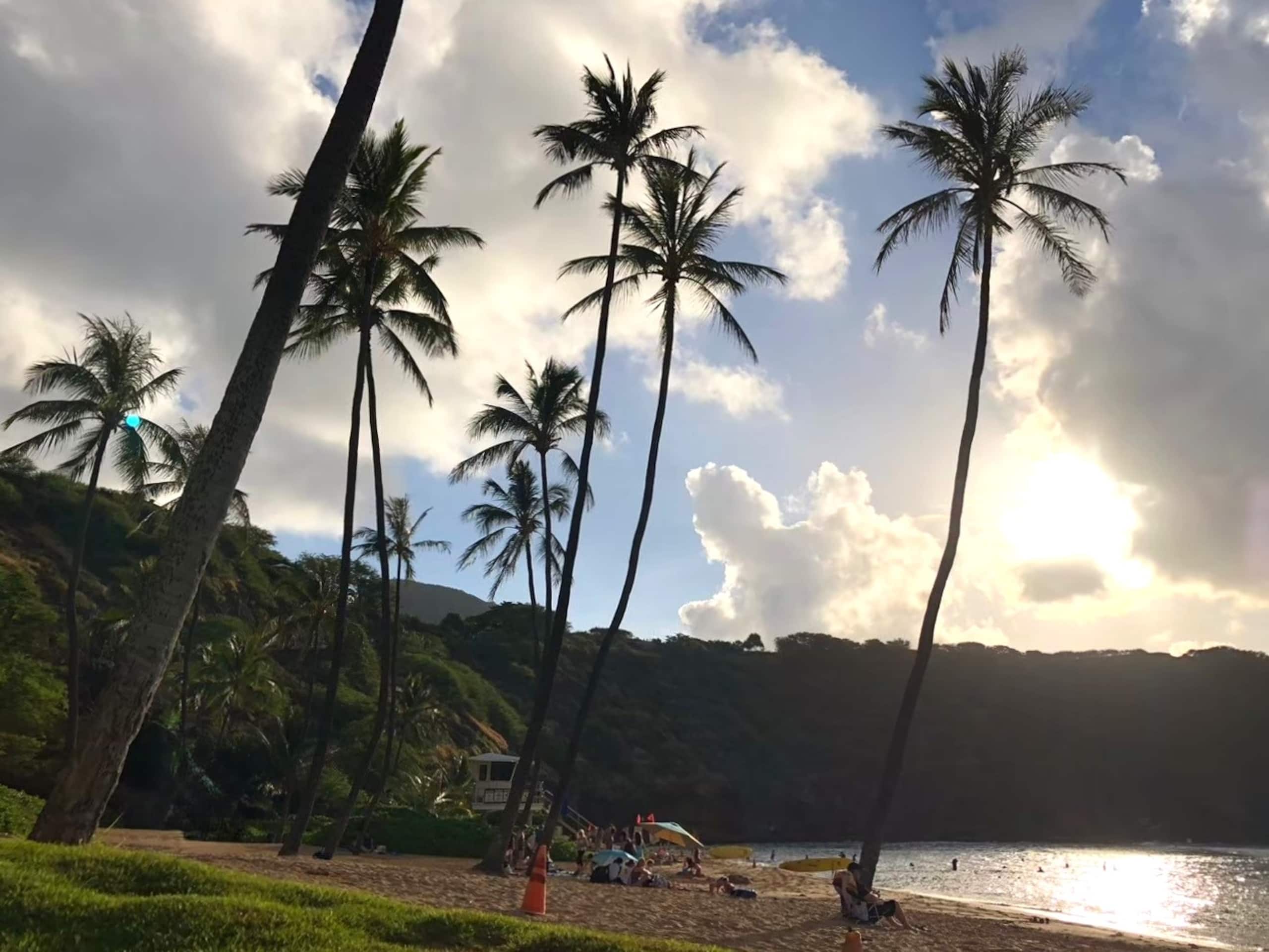 #Private studio@Waikiki W/Pool! near Hilton Lagoon - Image 45