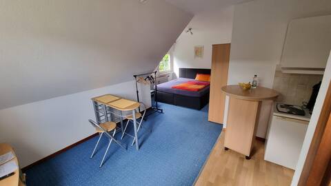Bright non-smoking apartment in Bonn,Brüser Berg