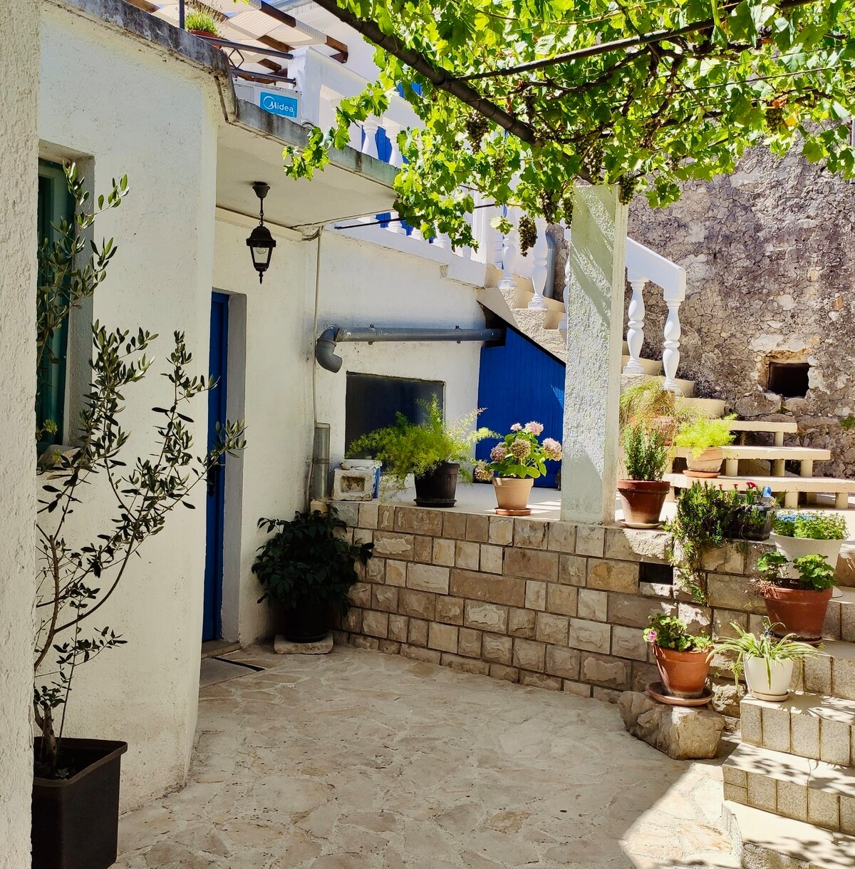 A charming outdoor space features a stone pathway leading to a separate entrance, surrounded by potted plants and greenery. The walls are painted in neutral tones, complemented by vibrant blue accents. Sunlight filters through overhead vines, creating a serene atmosphere.