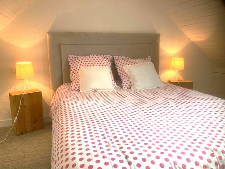 Კერჯავა: ანტრესოლი თავისი 140 საწოლით