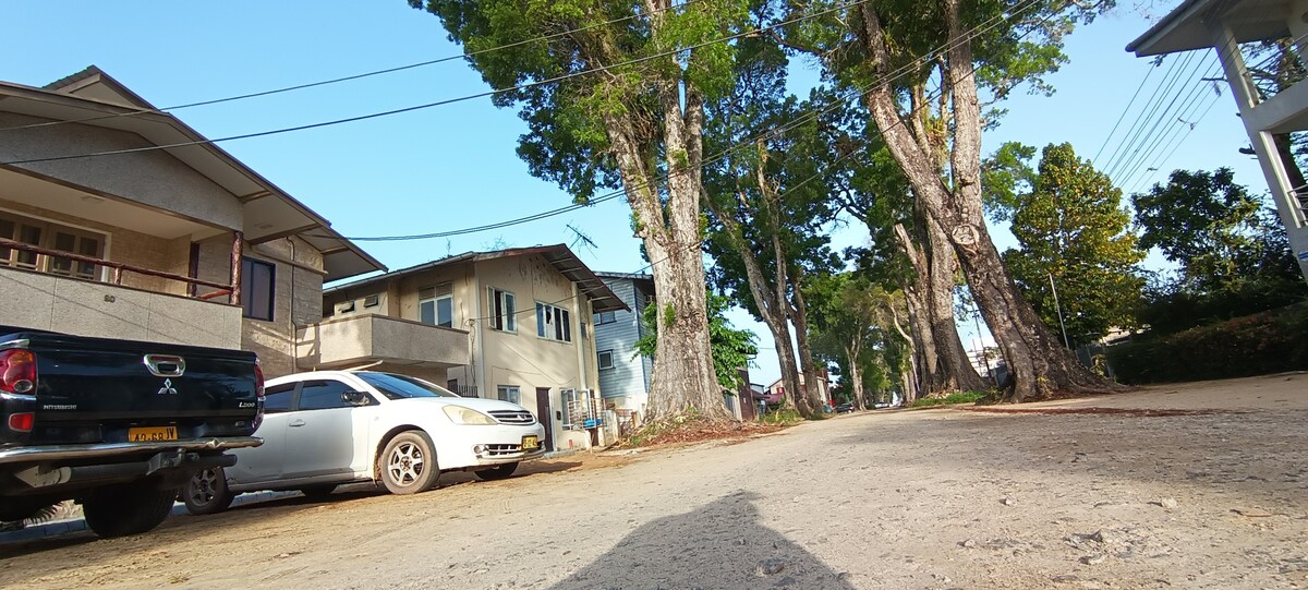 A quiet street scene showcases large Mahogany trees lining a dirt road. Nearby buildings display a mix of architectural styles, with vehicles parked along the side. The image captures a sense of tranquility and the natural beauty of the surroundings.