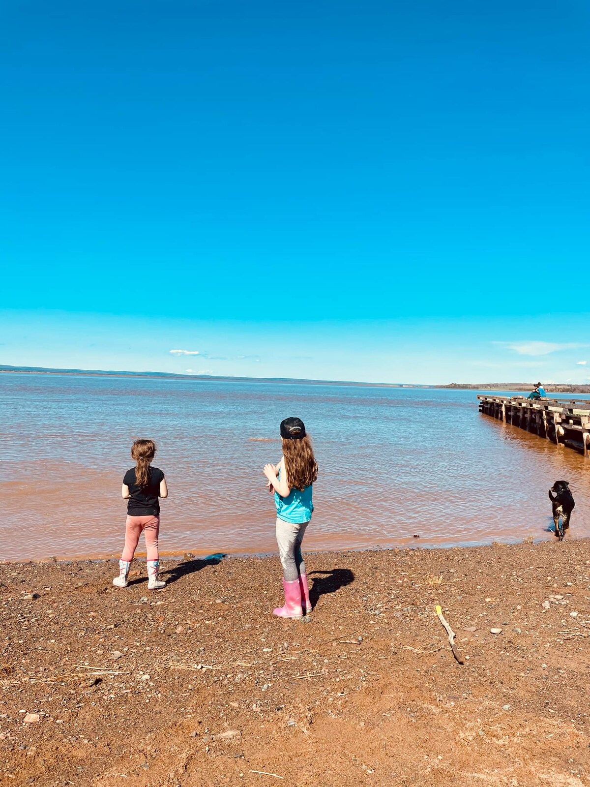A sandy shoreline is seen with children facing the water. The children stand at the edge where the sand meets the gentle waves. A wooden dock is visible on the right side of the image, extending into the water under a clear blue sky.