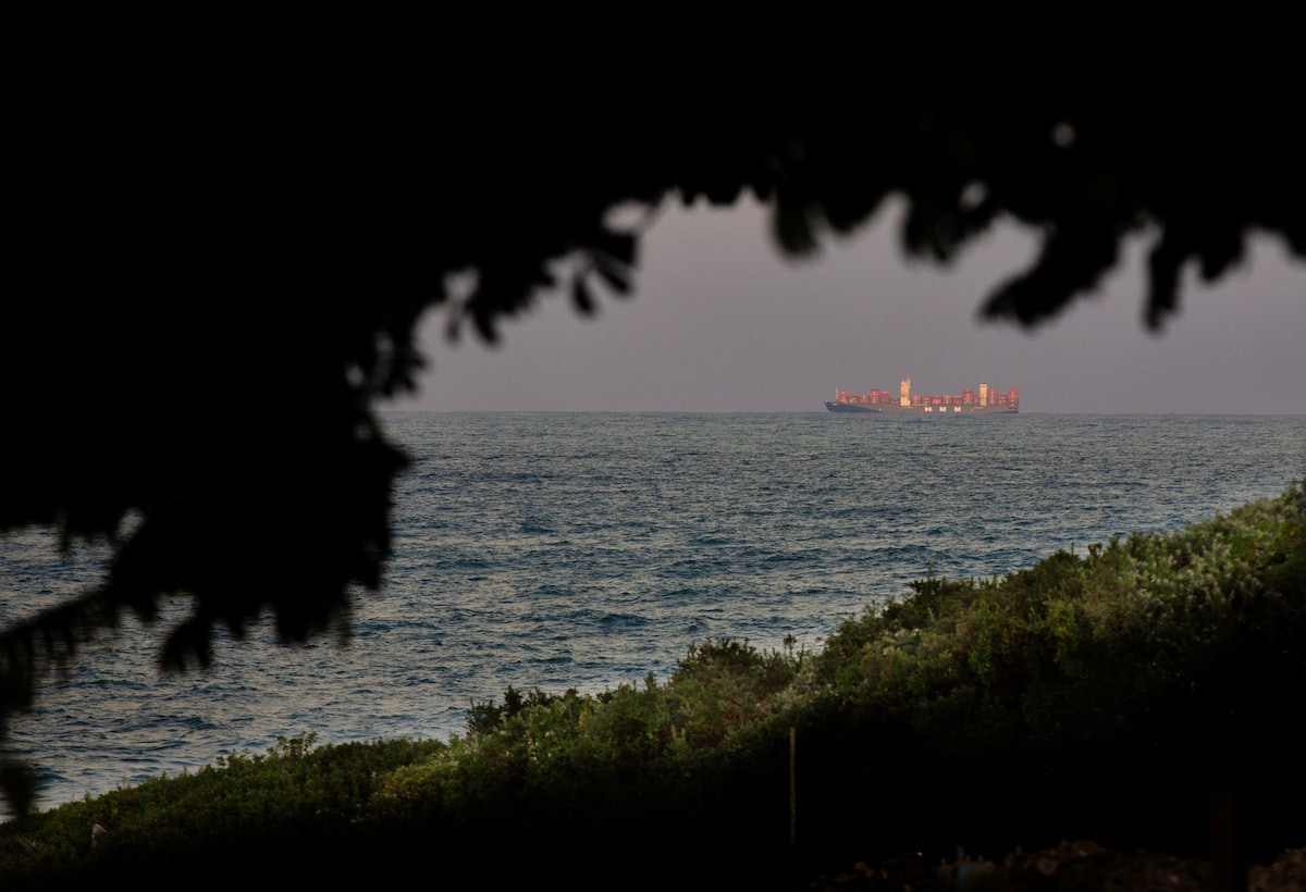 A distant cargo ship is visible on the horizon above calm ocean waters. Lush greenery frames the foreground, providing a natural border, while soft waves gently lapping against the shore create a serene coastal scene.