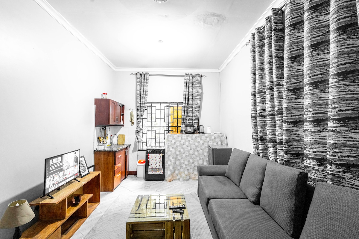 A spacious living area features a large, comfortable couch facing a wooden coffee table. A TV is positioned on a low table. A compact kitchen area is visible, showcasing cabinets and cooking essentials. Large windows adorned with patterned curtains allow ample natural light into the room.