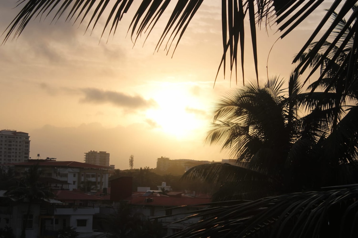 A serene sunset view is captured, featuring the sun partially obscured by clouds. Silhouetted palm fronds frame the image, while various buildings stand in the background, creating a sense of depth and tranquility.