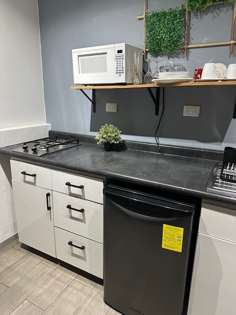 A compact kitchen area features a black countertop with a built-in sink and a mini-fridge. Above, a microwave is situated on a wooden shelf that also displays dishware. A small potted plant adds a touch of greenery to the space.