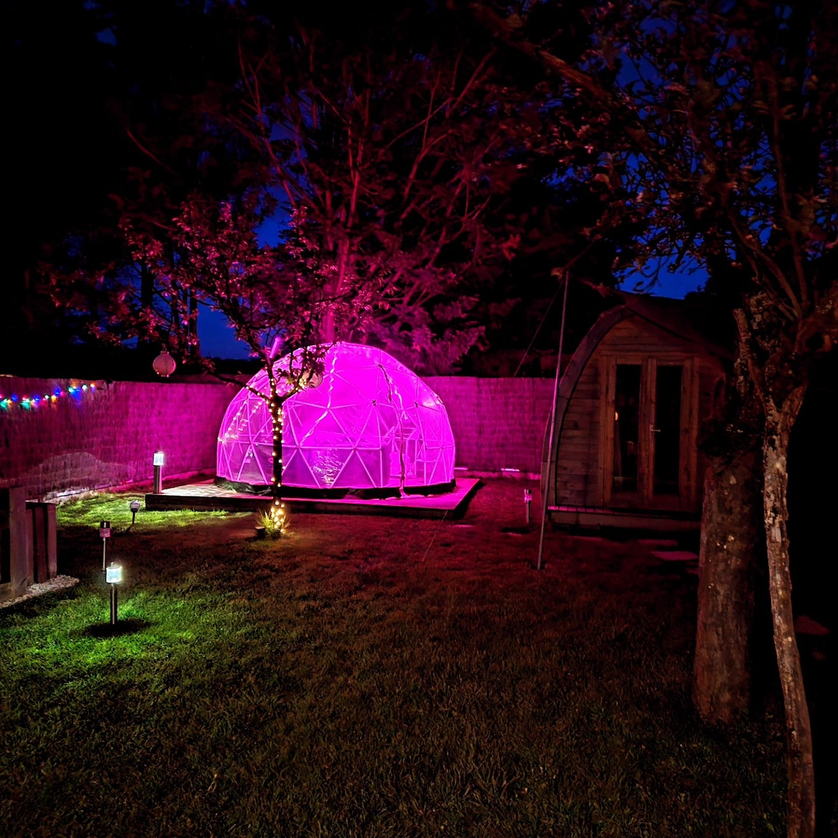 A distinctive geodesic dome is illuminated in soft pink light, creating a striking feature in the backyard. Surrounding greens are complemented by ambient lighting. A wooden structure is visible nearby, enhancing the charming outdoor space under a twilight sky.
