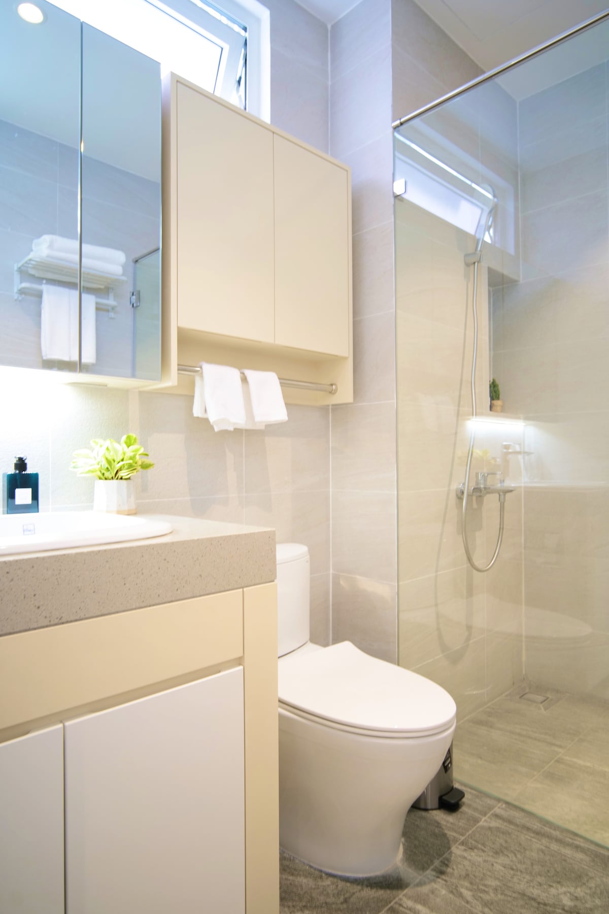 A modern ensuite bathroom features light-colored tiles and a minimalist design. A sleek toilet is positioned beside a glass shower enclosure. A mirror cabinet is mounted above a stone countertop with a small potted plant displayed next to toiletries, enhancing the functional space.