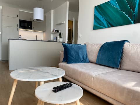 Propriété Airbnb réussie: LE GRAND LARGE: Facing the SEA à Saint Hilaire De Riez