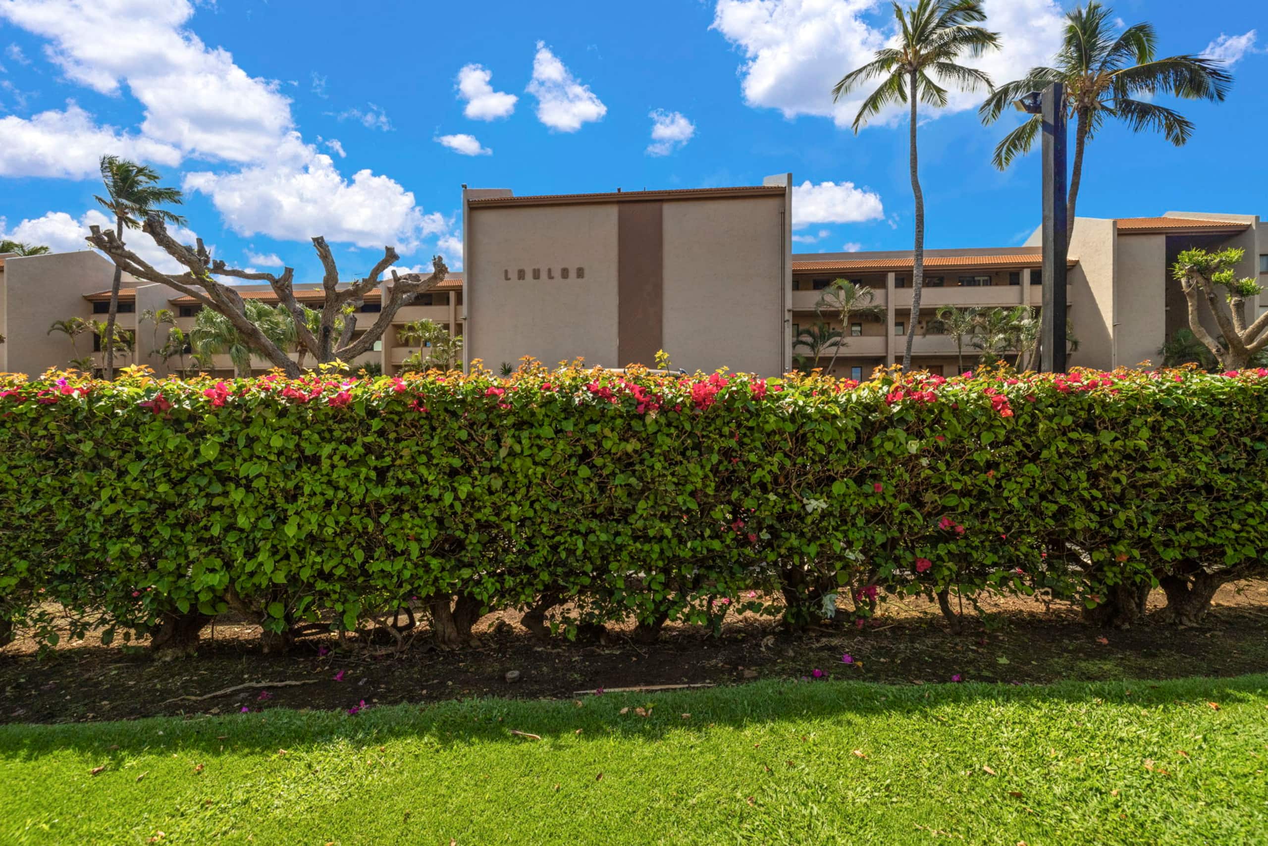 Condo in Wailuku · ★5.0 · 2 bedrooms · 3 beds · 2 baths - Image 28