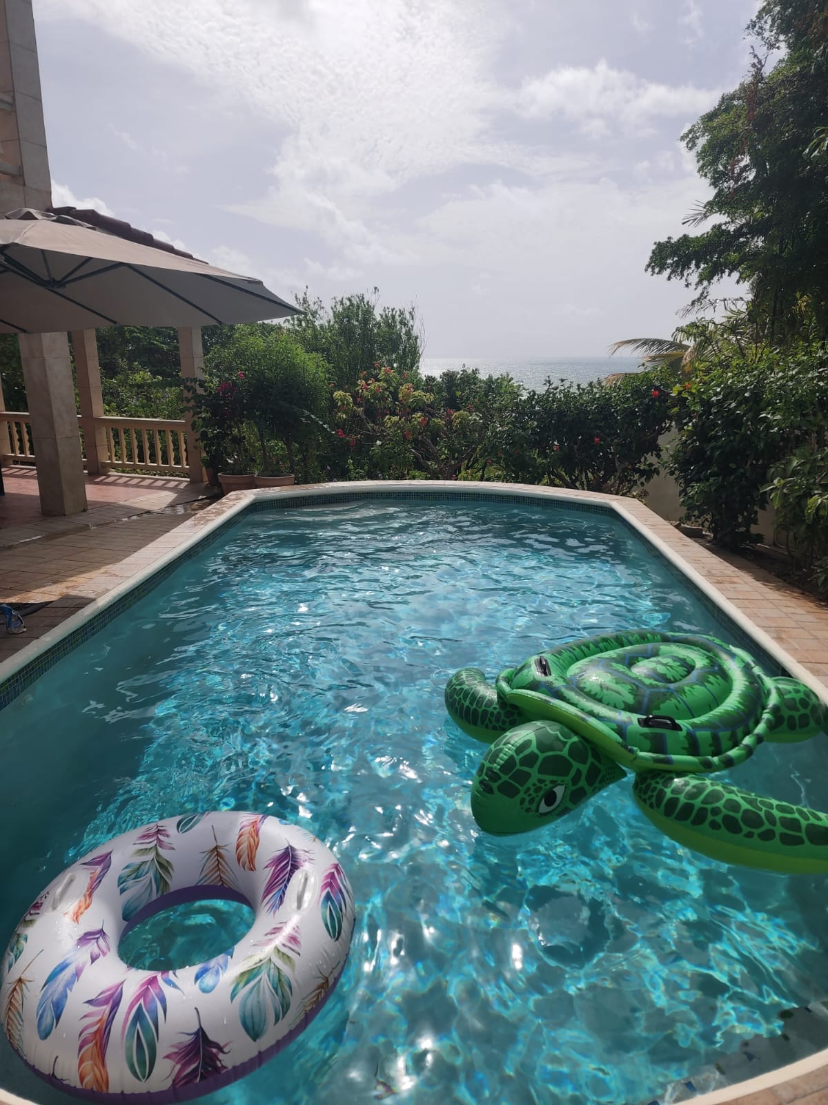 A clear swimming pool is surrounded by lush greenery and colorful flowers, enhancing the outdoor space. A green turtle float and a circular inflatable with feather patterns rest on the water's surface, offering a playful touch. The distant ocean can be glimpsed beyond the pool.