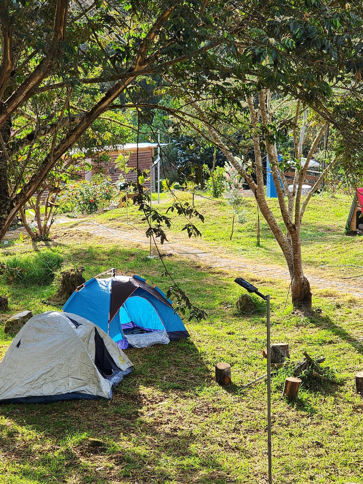 Two camping tents are positioned on grassy terrain, surrounded by trees and natural greenery. A pathway can be seen leading through the landscape, with additional camping setups visible in the background, offering a serene connection to nature.