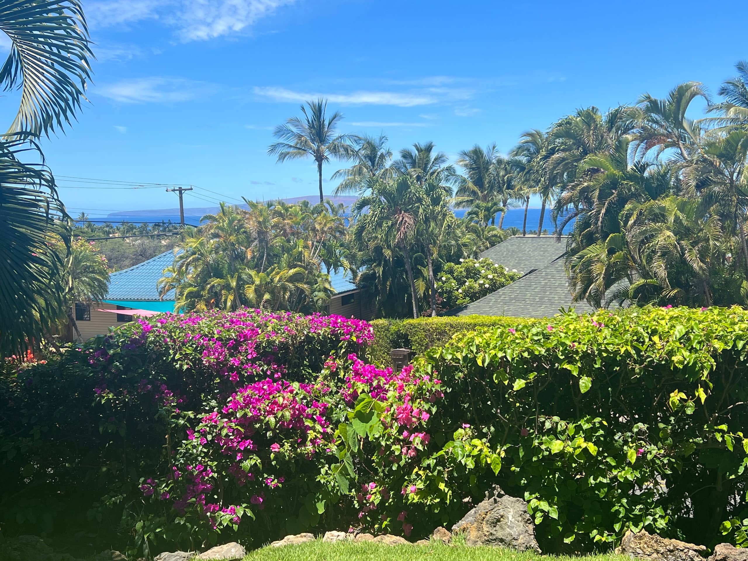 Home in Kihei · ★4.88 · 3 bedrooms · 5 beds · 2 baths - Image 36