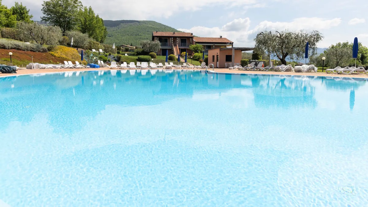 A large swimming pool is seen, featuring clear blue water reflecting the sky. Surrounding the pool are multiple sun loungers, providing ample space for relaxation. Lush greenery and olive trees are visible in the background, along with a low-rise building that complements the serene landscape.