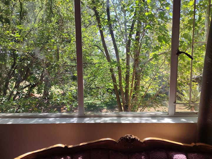 The Pink Chair Guesthouse - Magaliesburg