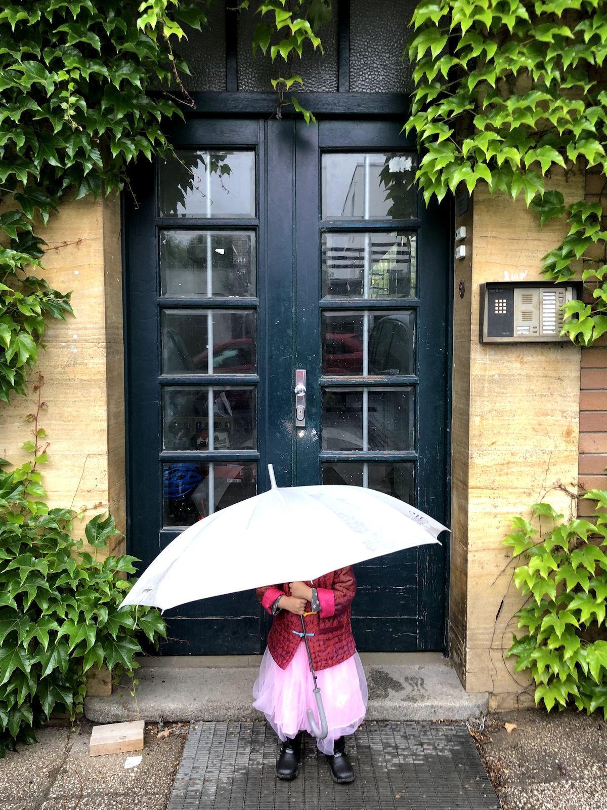 A child is seen standing in front of a dark green, double door adorned with lush green ivy. The umbrella being held is clear and translucent, complementing the child's colorful attire. A textured stone pathway leads up to the door, adding contrast to the greenery.