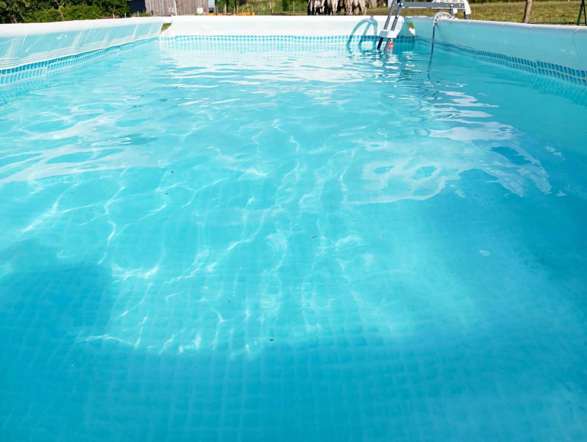 A clear swimming pool displays tranquil blue water, reflecting light on its surface. The pool features a ladder for easy access, and the surrounding area offers a spacious view of the lawn and a hint of greenery in the background.