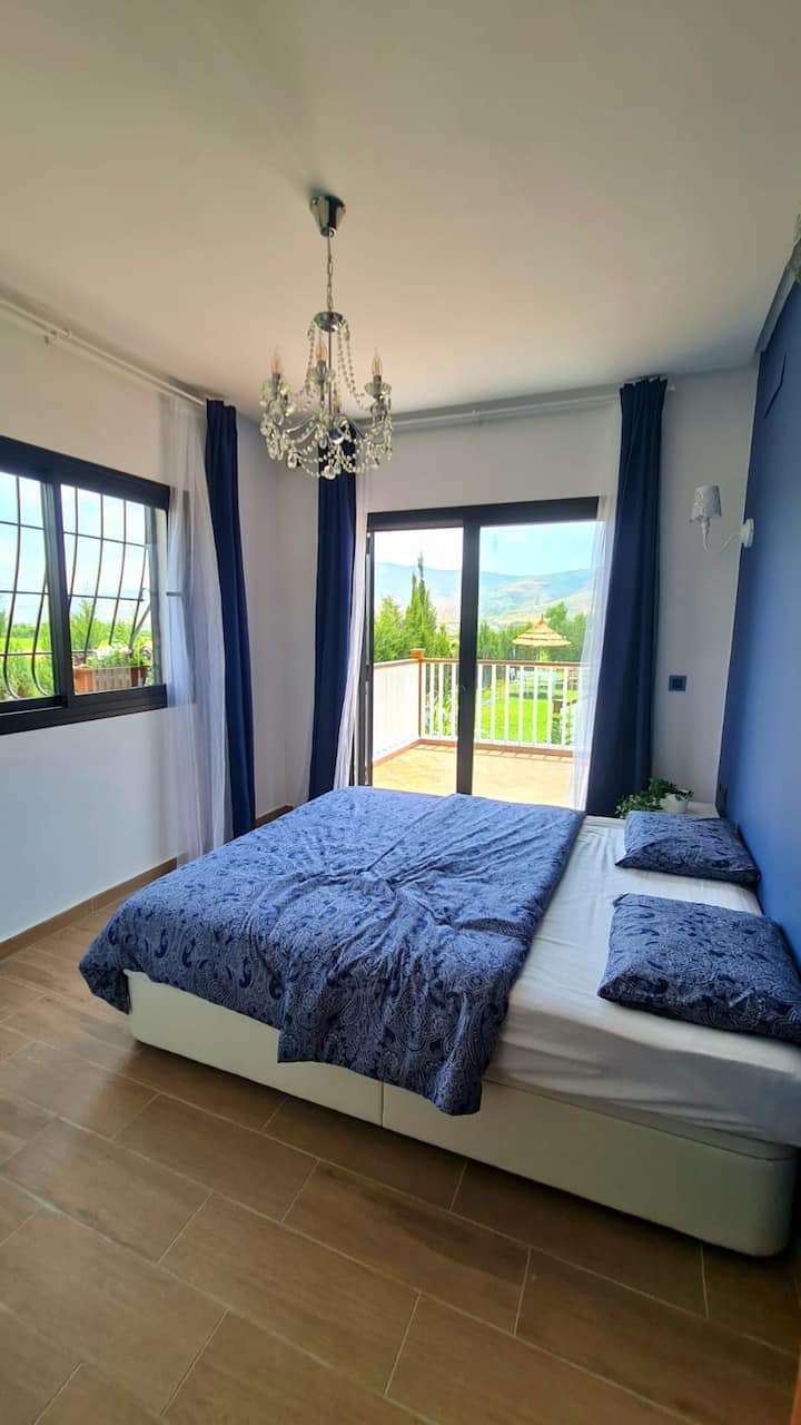 Habitación 1
