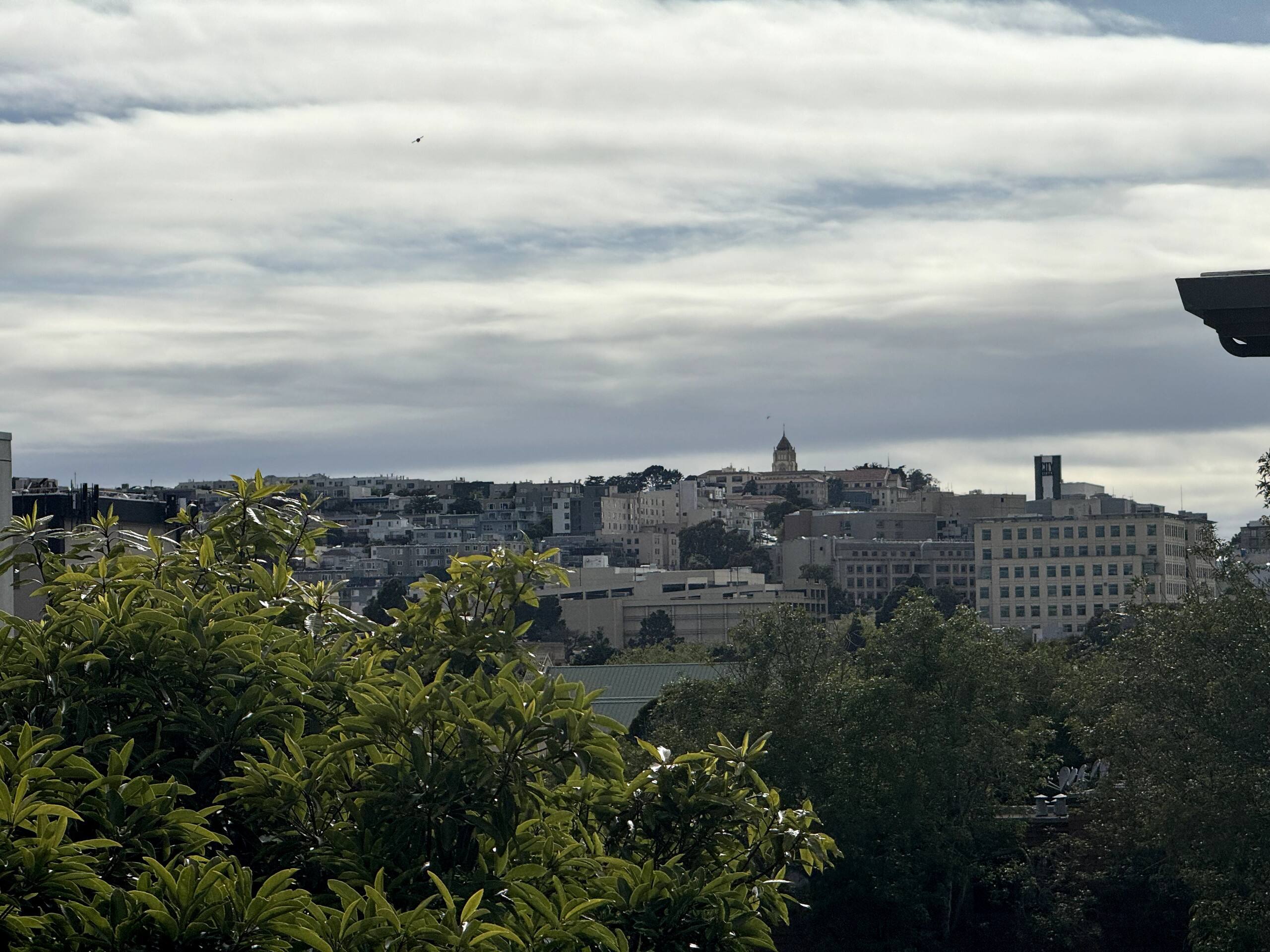 Home in San Francisco · ★4.6 · 4 bedrooms · 4 beds · 3 baths - Image 108