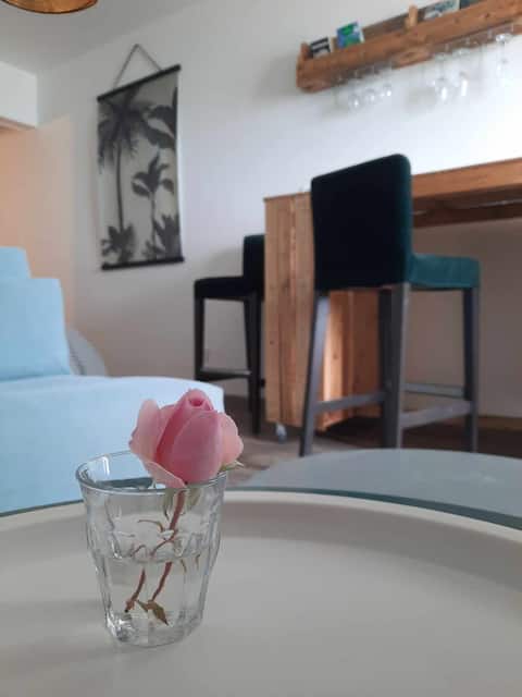 Top performing Airbnb: Sea view in Luc Sur Mer